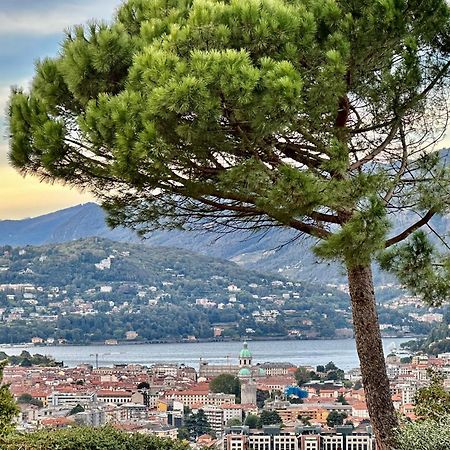 Lake Como view Apartment Exterior foto